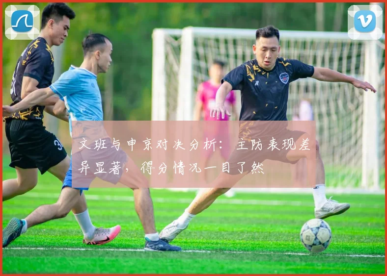 文班与申京对决分析：主防表现差异显著，得分情况一目了然